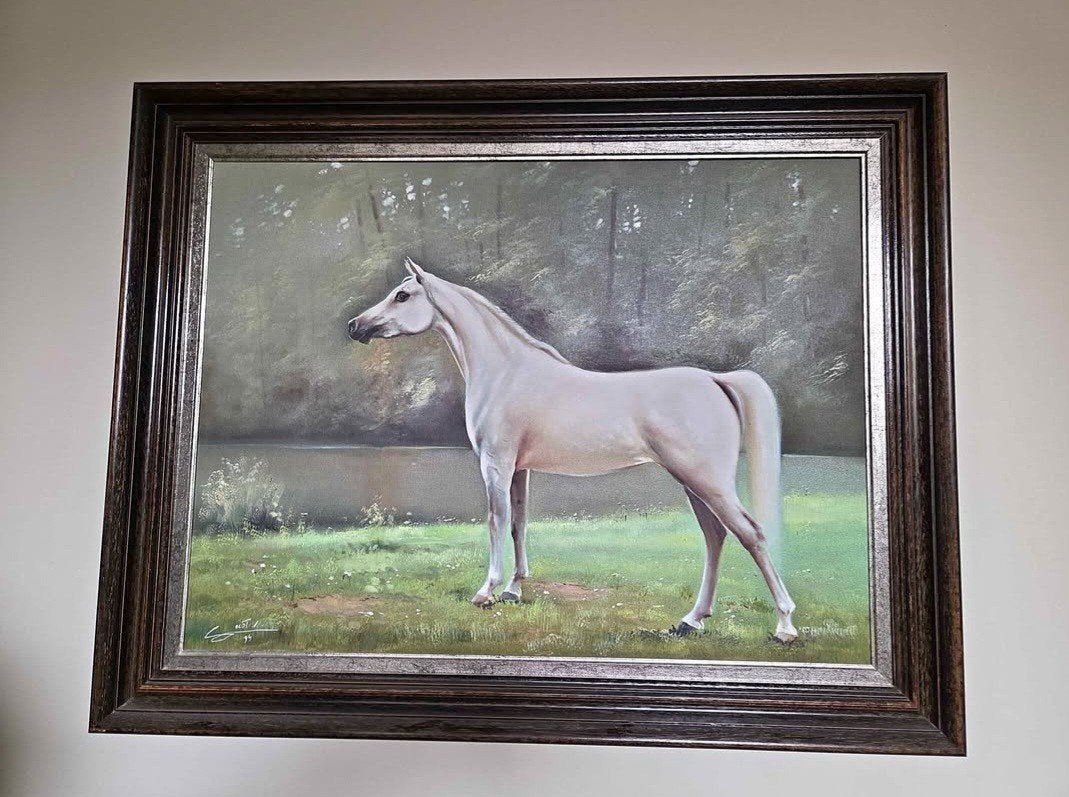 Groot schilderij — Arabisch paard — olieverf op doek gesigne, Antiek en Kunst, Kunst | Schilderijen | Klassiek, Doek, Ophalen