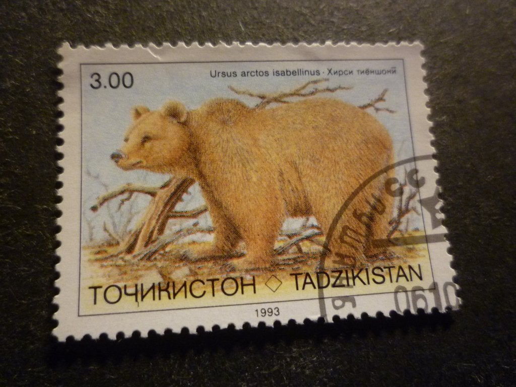 Tadzjikistan/Tadjikistan 1993 Mi 22(o) Gestempeld/Oblitéré, Timbres & Monnaies, Envoi, Affranchi