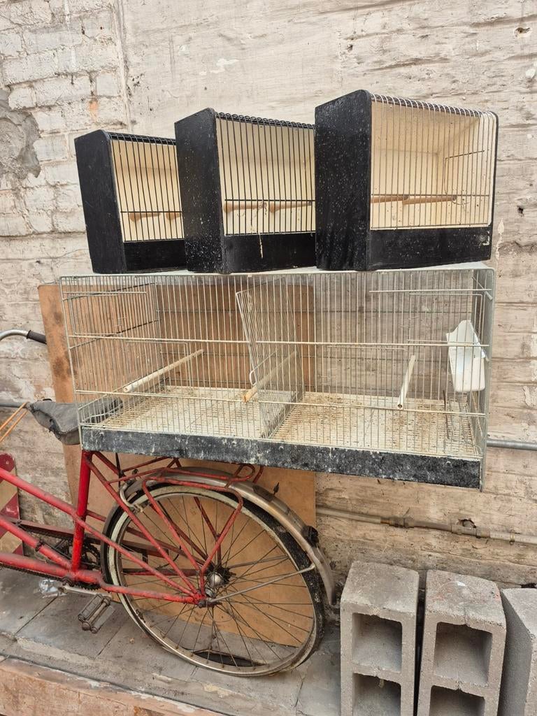 cage d élevage ( prix 50 euros pour le lots ), Enlèvement, Cage d'élevage