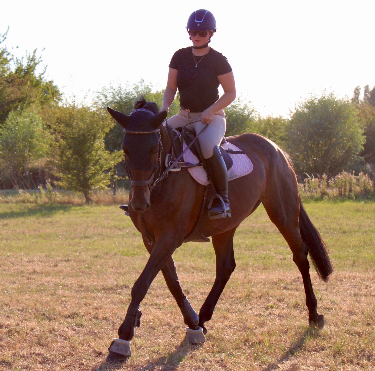 TE KOOP – Talentvolle merrie met veel potentieel, Animaux & Accessoires, Chevaux & Poneys | Produits de soin, Enlèvement, Comme neuf