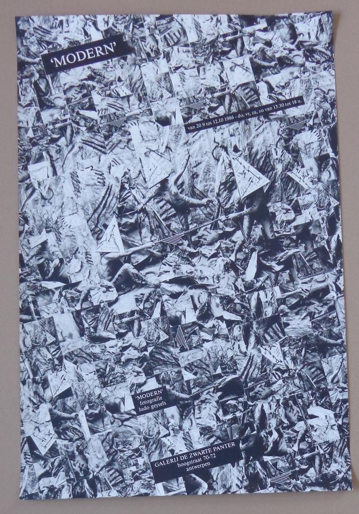 LUDO GEYSELS / AFFICHE / KLEURZEEFDRUK / 90x60cm / PANTER, Ophalen of Verzenden