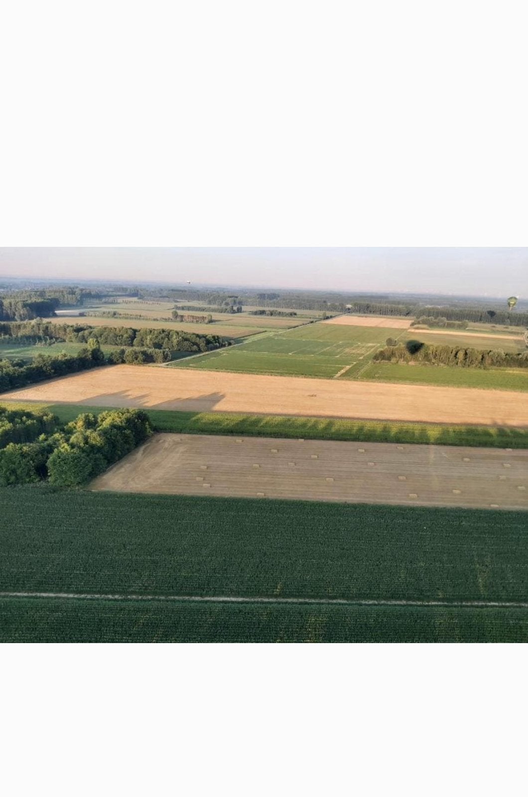 Gezocht landbouwgrond / grasland, Dieren en Toebehoren