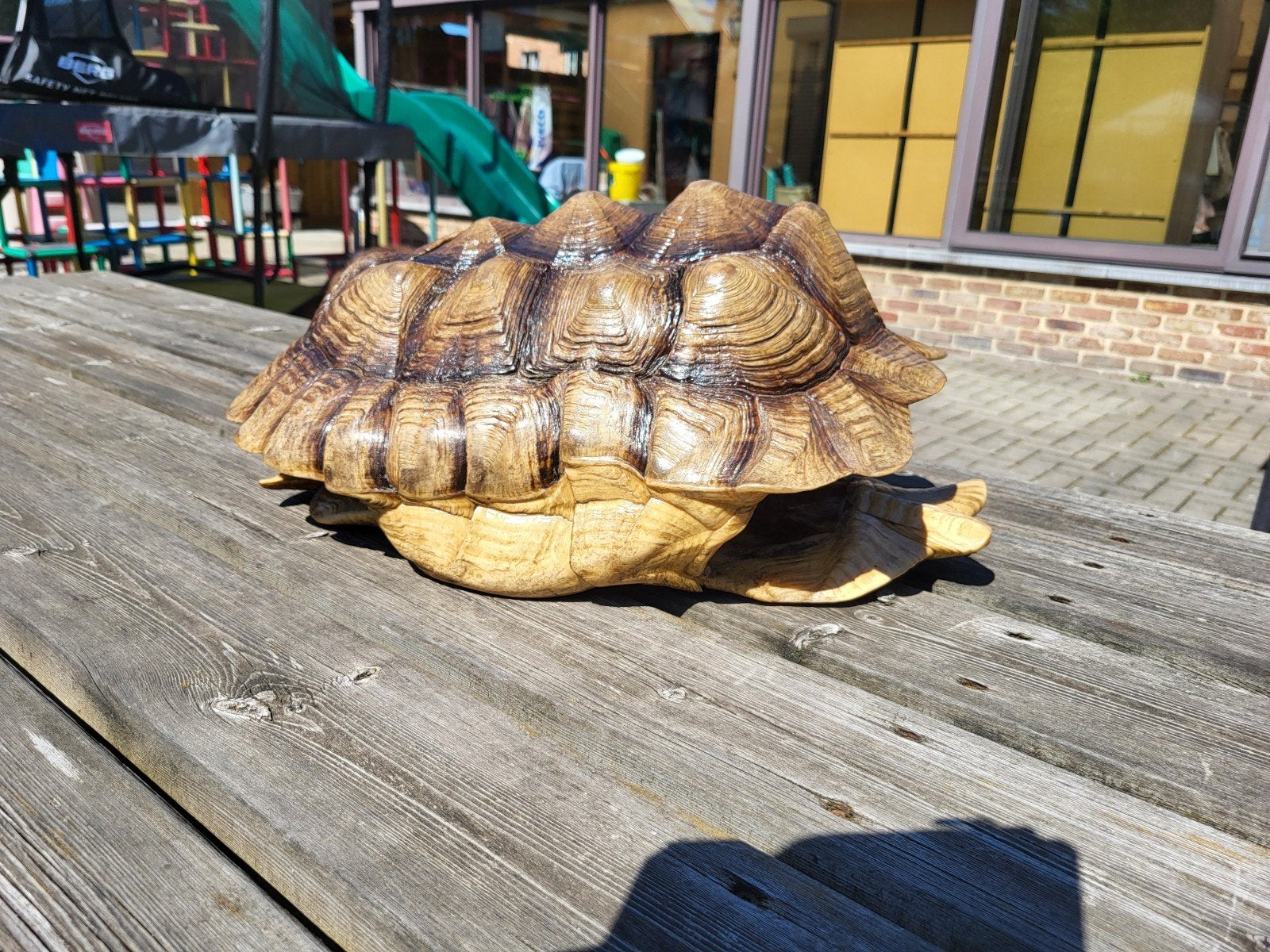 Schild van sporenschildpad