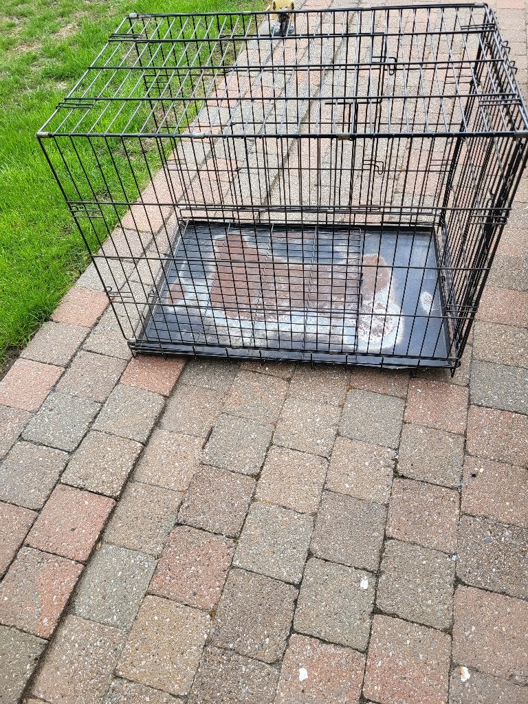 Hondenbench, Dieren en Toebehoren, Ophalen, Gebruikt