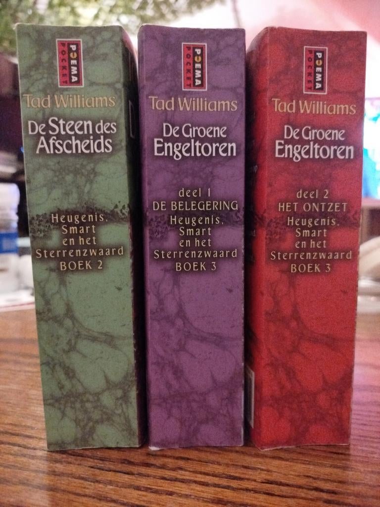 Tad Williams - De steen des afscheids boek 2-4 pocketsize, Enlèvement ou Envoi, Tad Williams