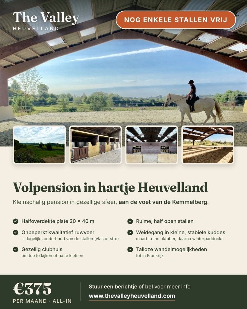 Stallen vrij in volpension | Heuvelland (Kemmelberg), Dieren en Toebehoren, Stalling, 4 paarden of pony's of meer