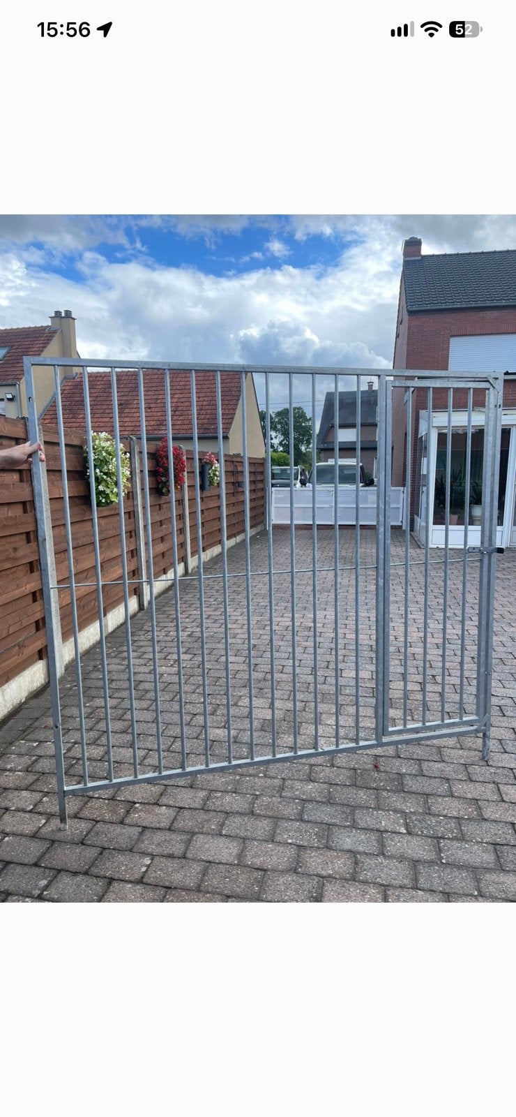 Hondenrennen, Dieren en Toebehoren, Ophalen