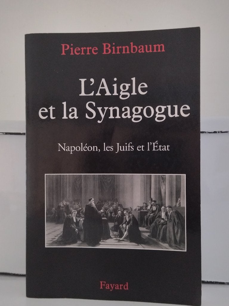 L'aigle et la synagogue, Livres, Enlèvement ou Envoi, Comme neuf, Société