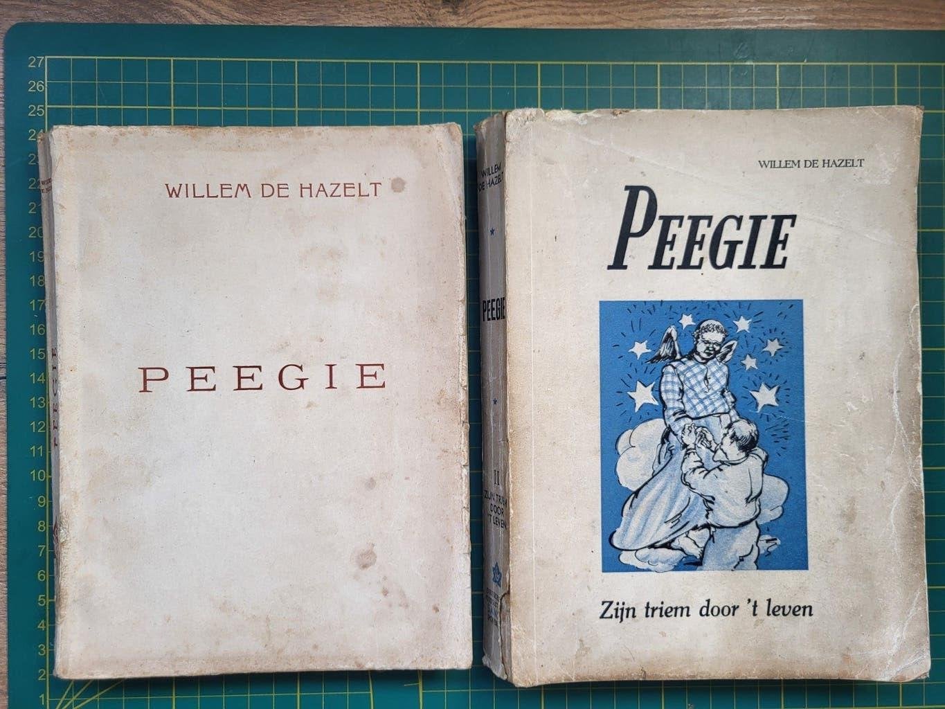 Willem De Hazelt - Peegie (2d) - 1ste druk, Ophalen of Verzenden, Gelezen