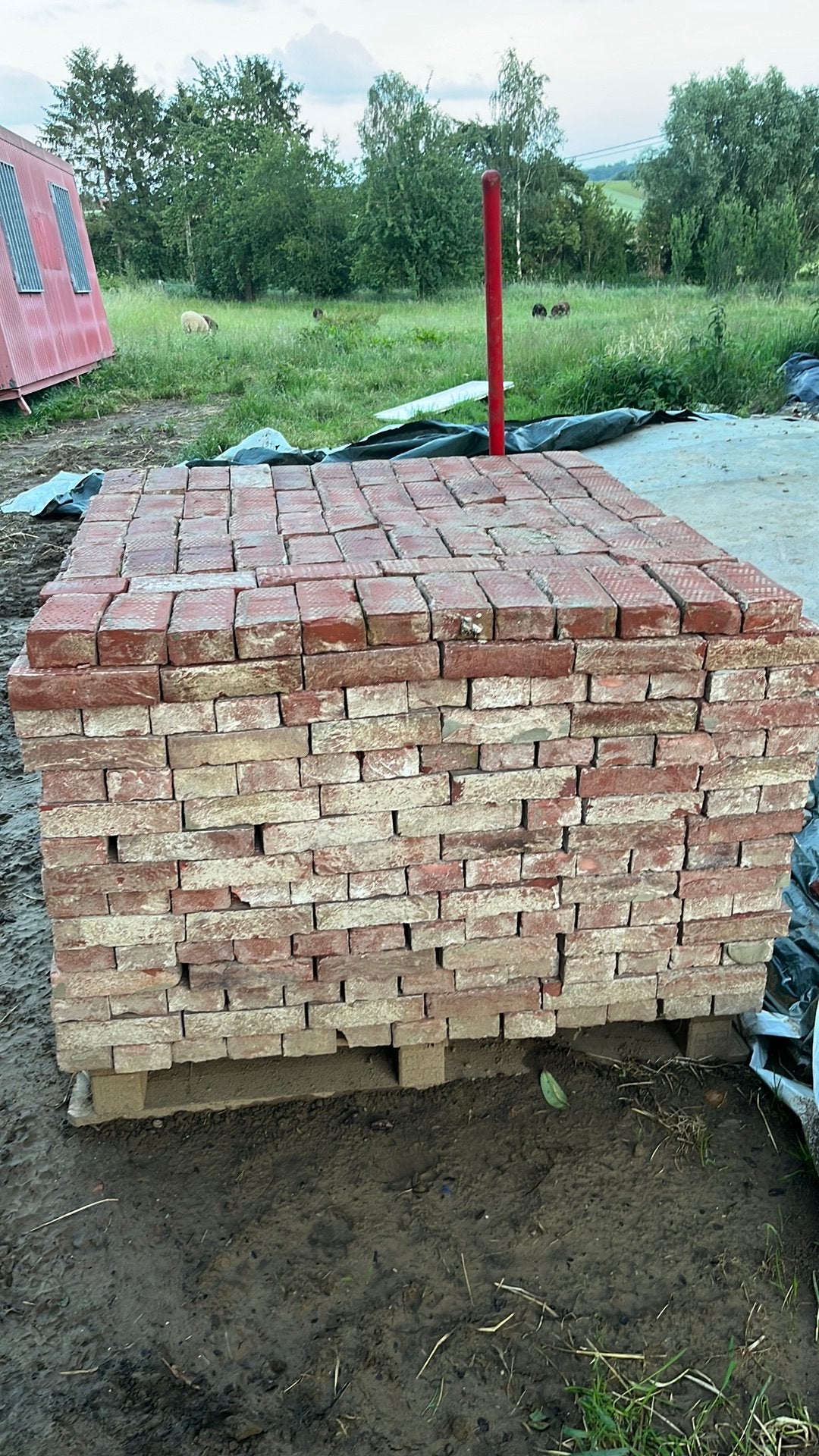 Gevelsteen, Doe-het-zelf en Bouw, Ophalen, Gebruikt, Bakstenen