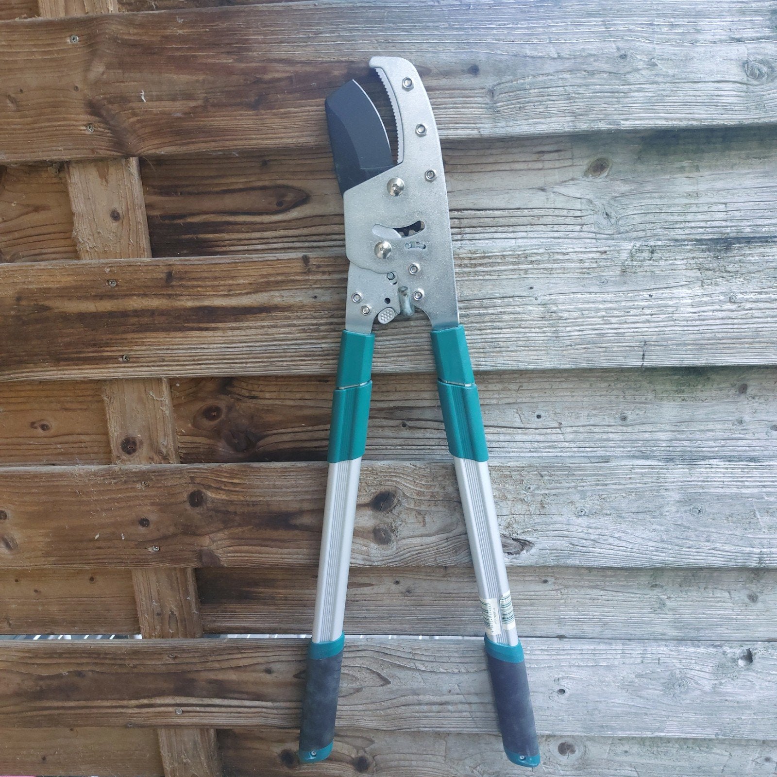 telescopische takkenschaar, Tuin en Terras, Ophalen of Verzenden, Nieuw, 20 t/m 29 mm
