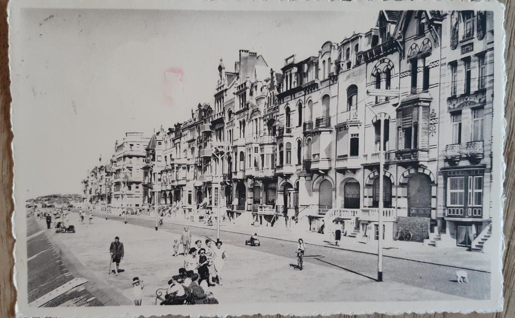 Villas WENDUINE en bord de mer à DIGUE, années 1950, Enlèvement ou Envoi