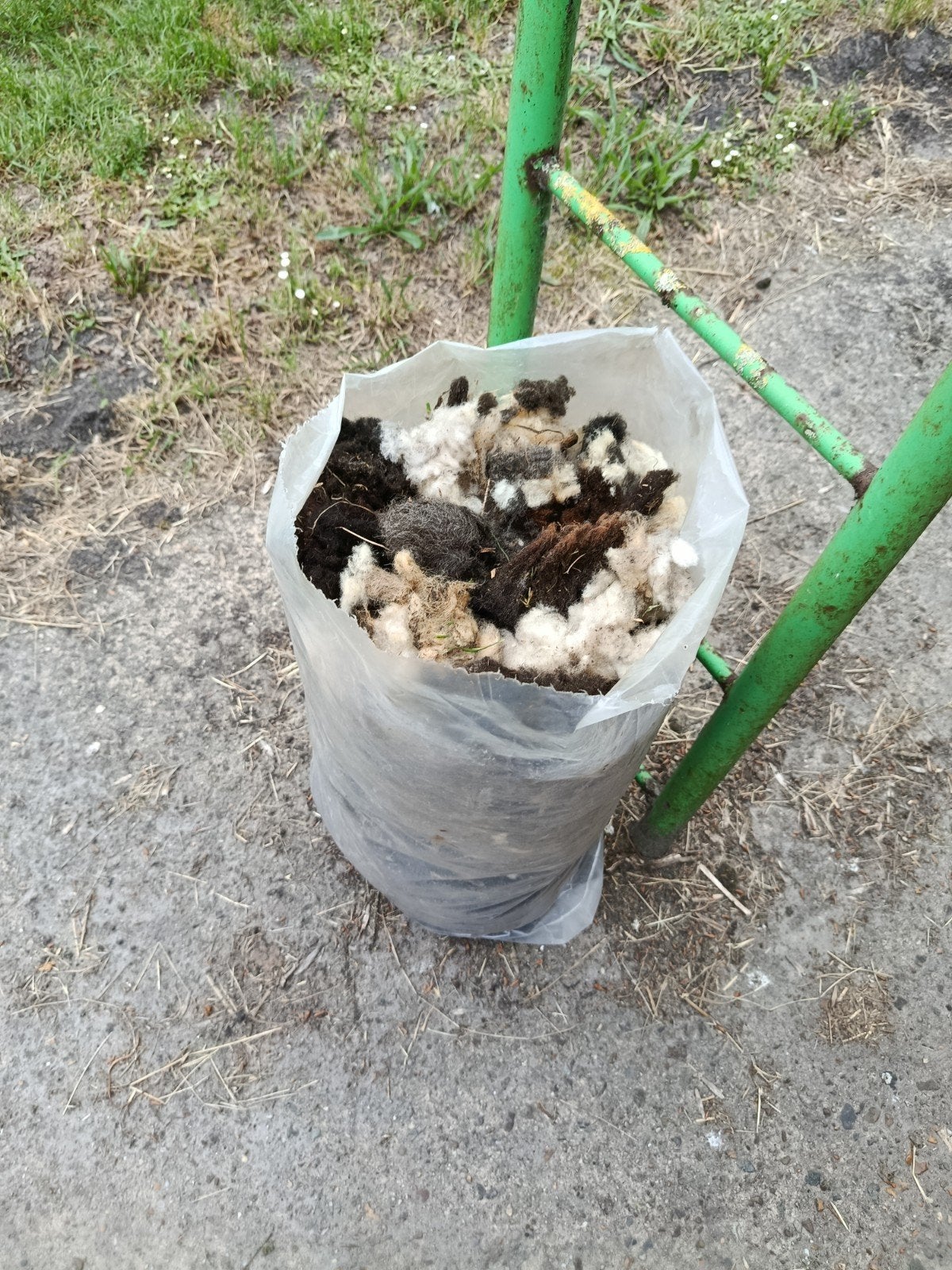 gratis schaapwol, Tuin en Terras, Ophalen