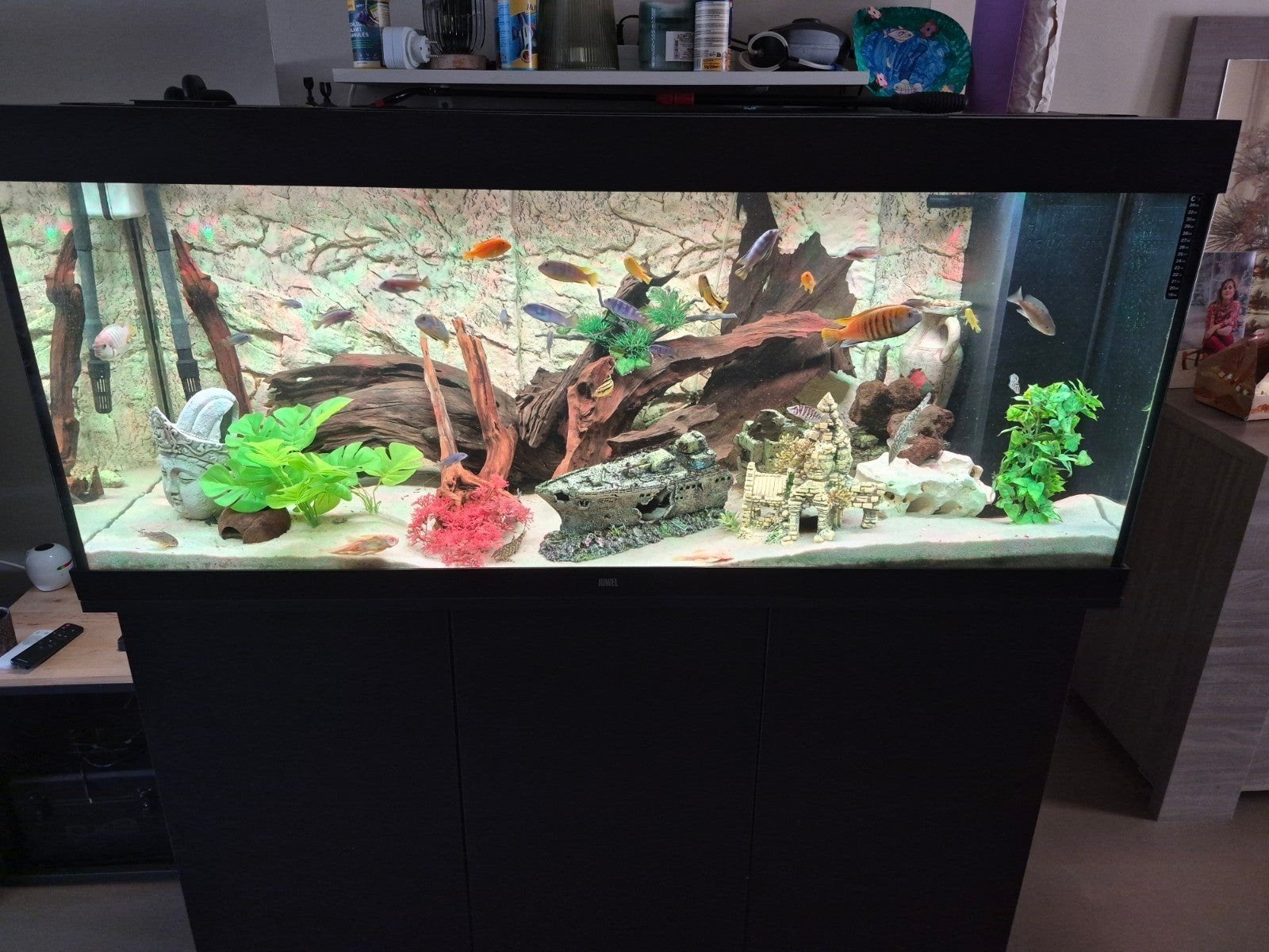 bijou Rio 450 avec mobilier et 3 filtres, Enlèvement, Comme neuf, Juwel
