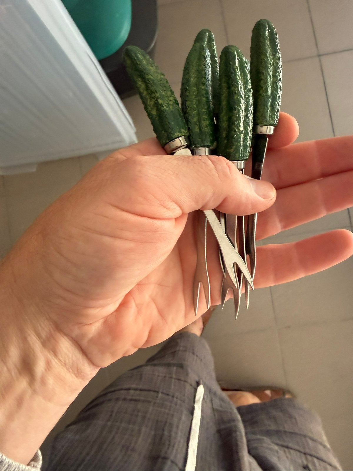 Kaasprikkers 6 1euro, Huis en Inrichting, Kamerplanten, Ophalen