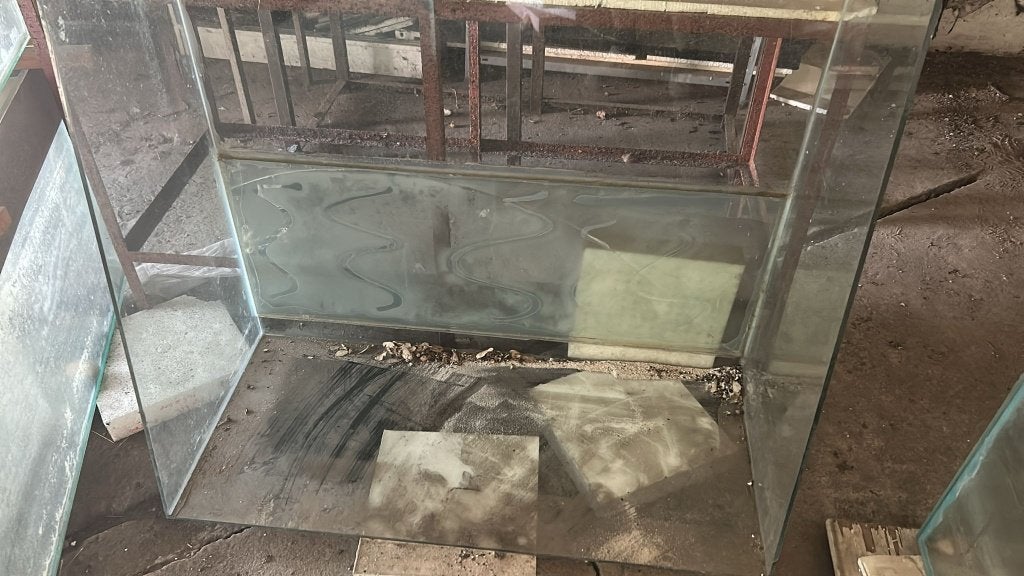 Aquarium, Dieren en Toebehoren, Ophalen, Gebruikt, Leeg aquarium