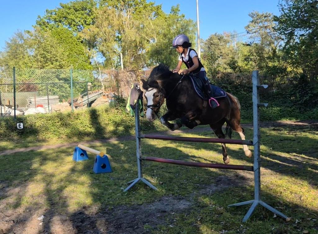 Zadelmak maken, Dieren en Toebehoren, Pony's, Zadelmak