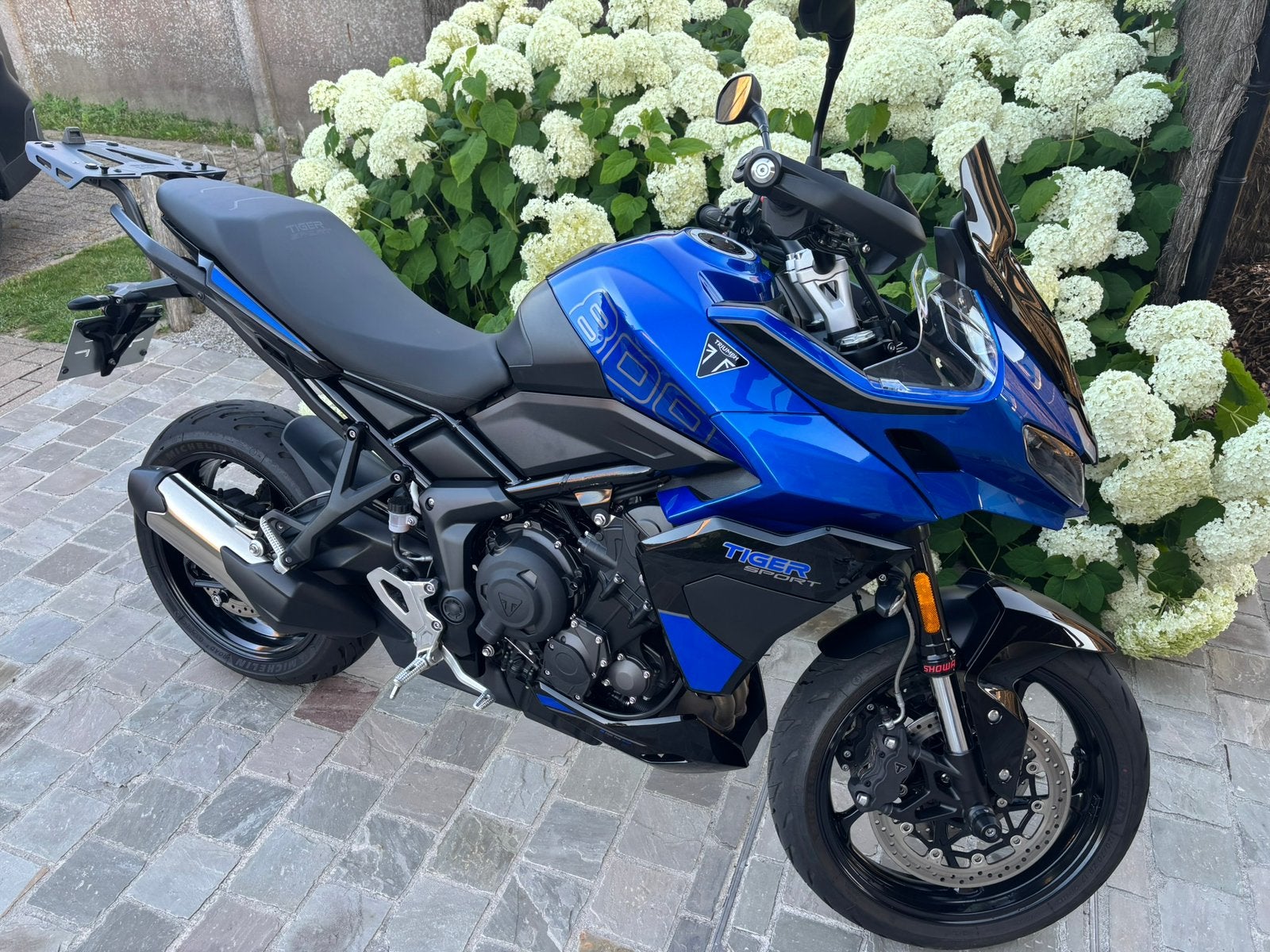 tiger sport 800, Motoren, Motoren | Triumph, Bedrijf, meer dan 35 kW, 3 cilinders, Motorrijbewijs A, Ophalen