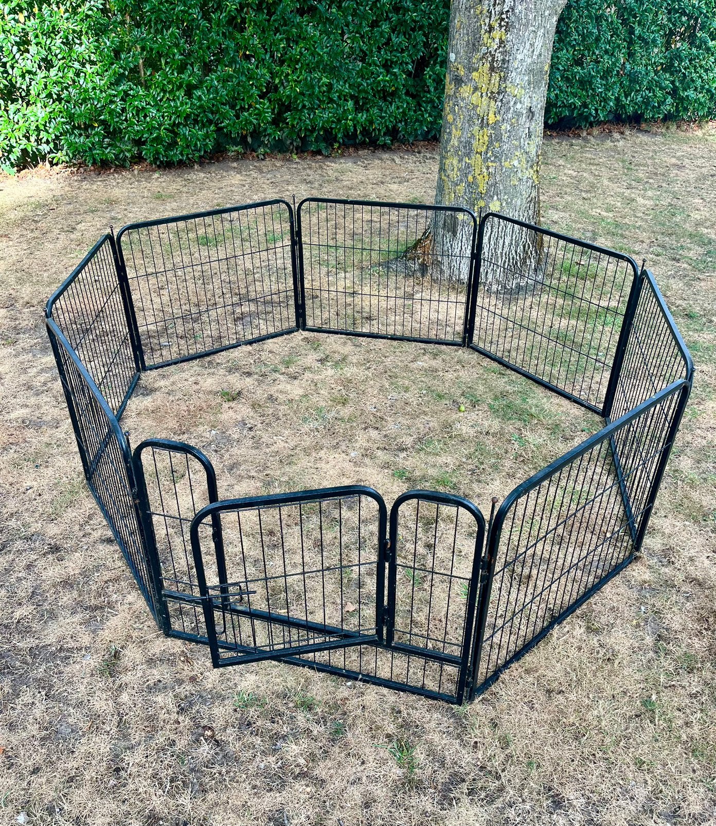 Puppy/Hondenren, Dieren en Toebehoren, Ophalen, Hondenkennel, Minder dan 65 cm, 110 cm of meer