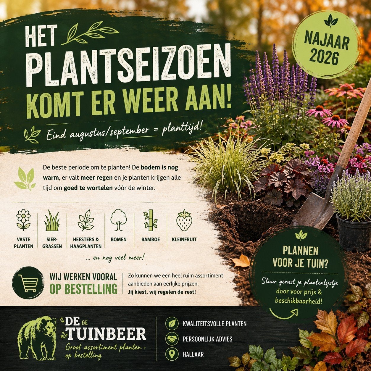 Assortiment planten, Tuin en Terras, Ophalen, Siergrassen
