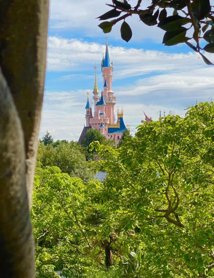 Disneyland Tickets: 2 tickets voor 1 park naar keuze👑, Tickets en Kaartjes, Twee personen, Ticket of Toegangskaart