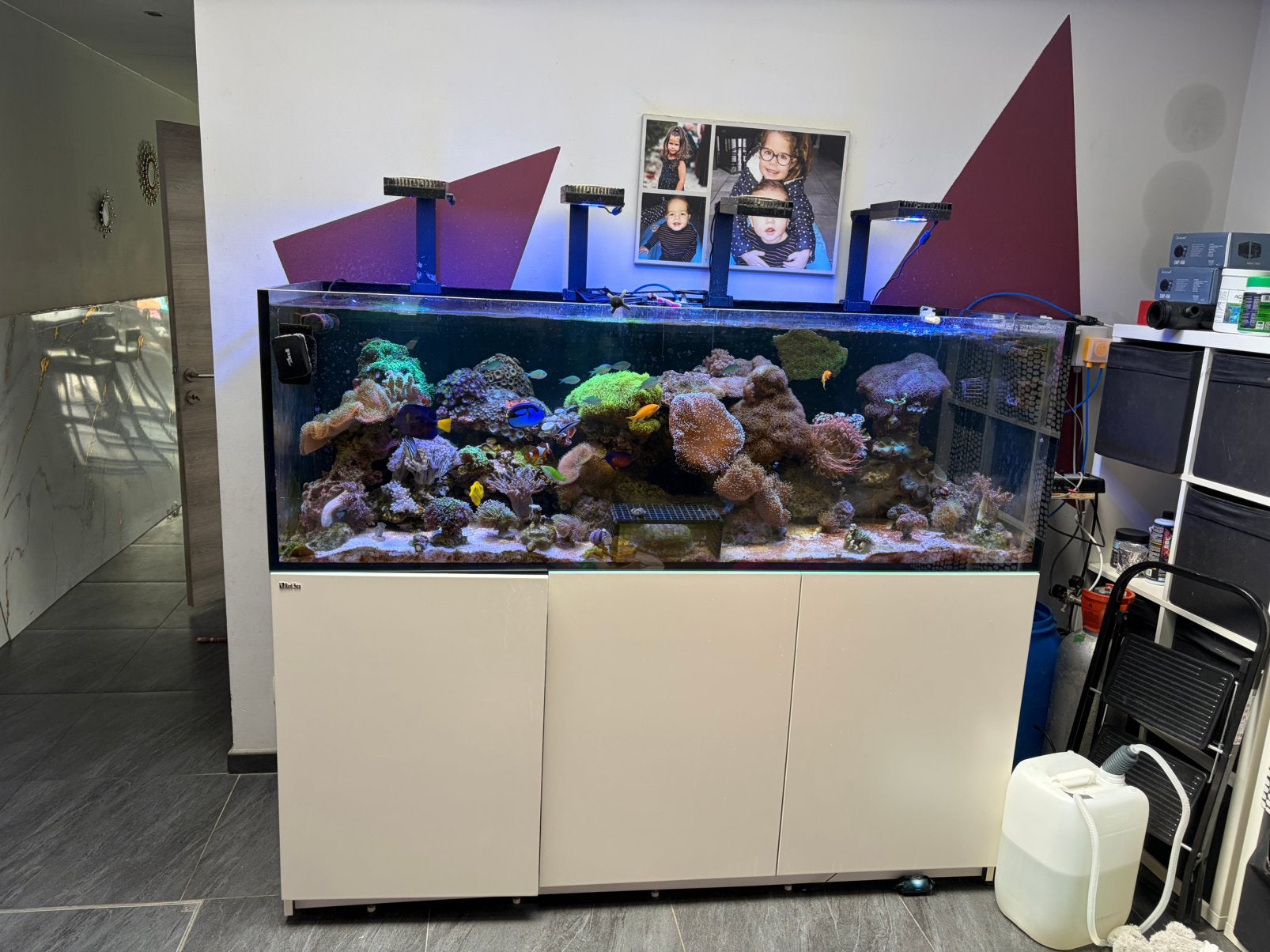 Aquarium, Enlèvement, Comme neuf