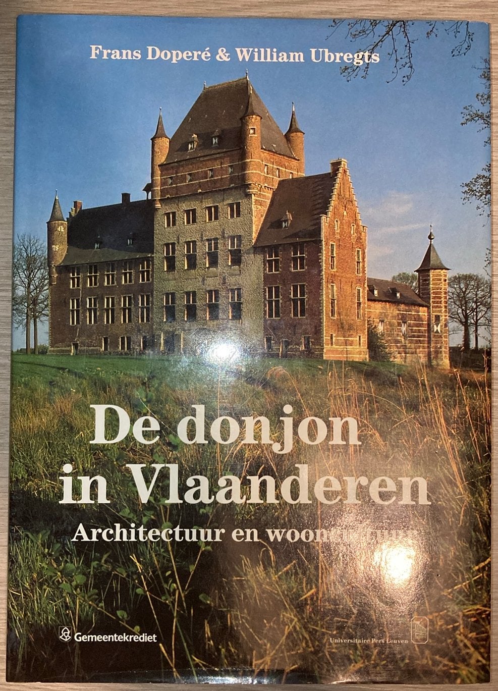 De donjon in Vlaanderen. Architectuur en wooncultuur, Boeken, Ophalen of Verzenden