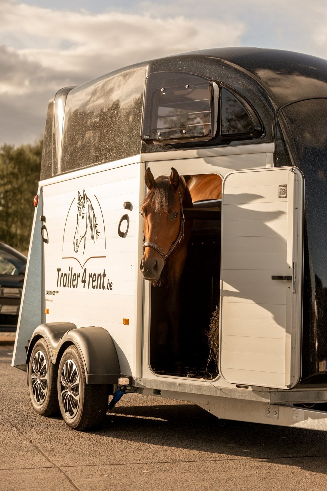2-paardentrailer te huur Humbaur Xanthos Aero, Ophalen, Zo goed als nieuw