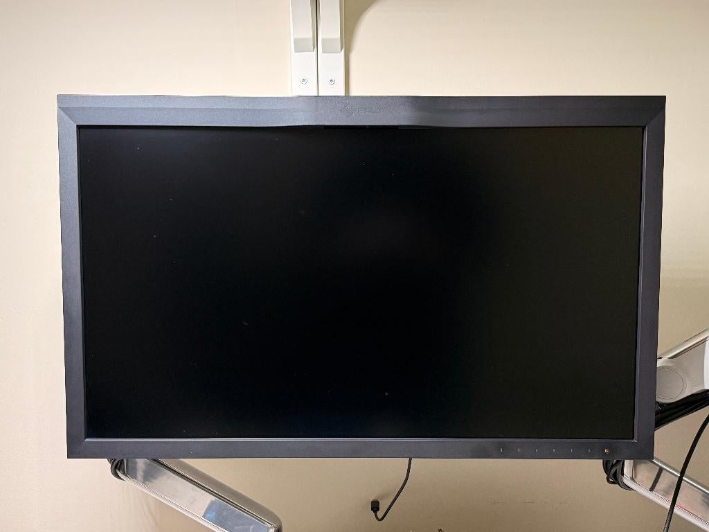 Eizo CG279X monitor scherm, Computers en Software, Ophalen, IPS, Eizo, Quad HD (2K)