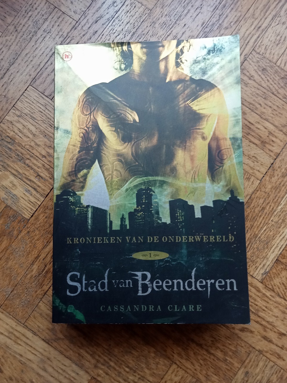 Cassandra Clare: Stad van beenderen, Enlèvement ou Envoi, Utilisé