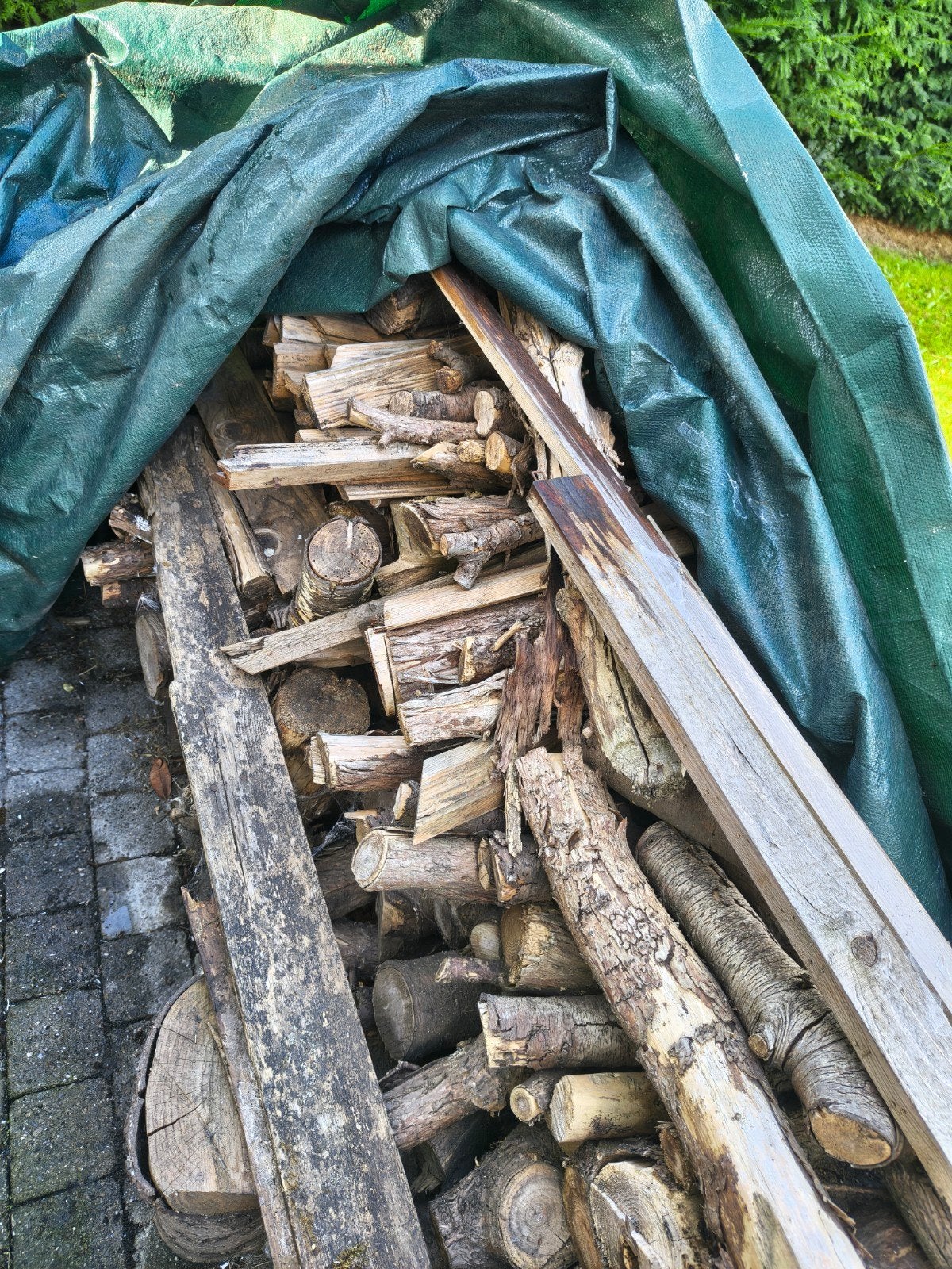 GRATIS HOUT / ophalen in Zele, Ophalen
