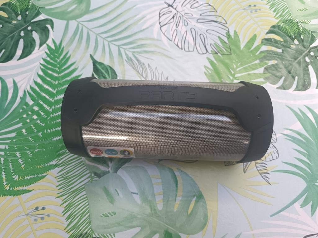 BigBen Party Speaker Lite Zwart + Microfoon is kapot, Ophalen, Zo goed als nieuw, Zangmicrofoon