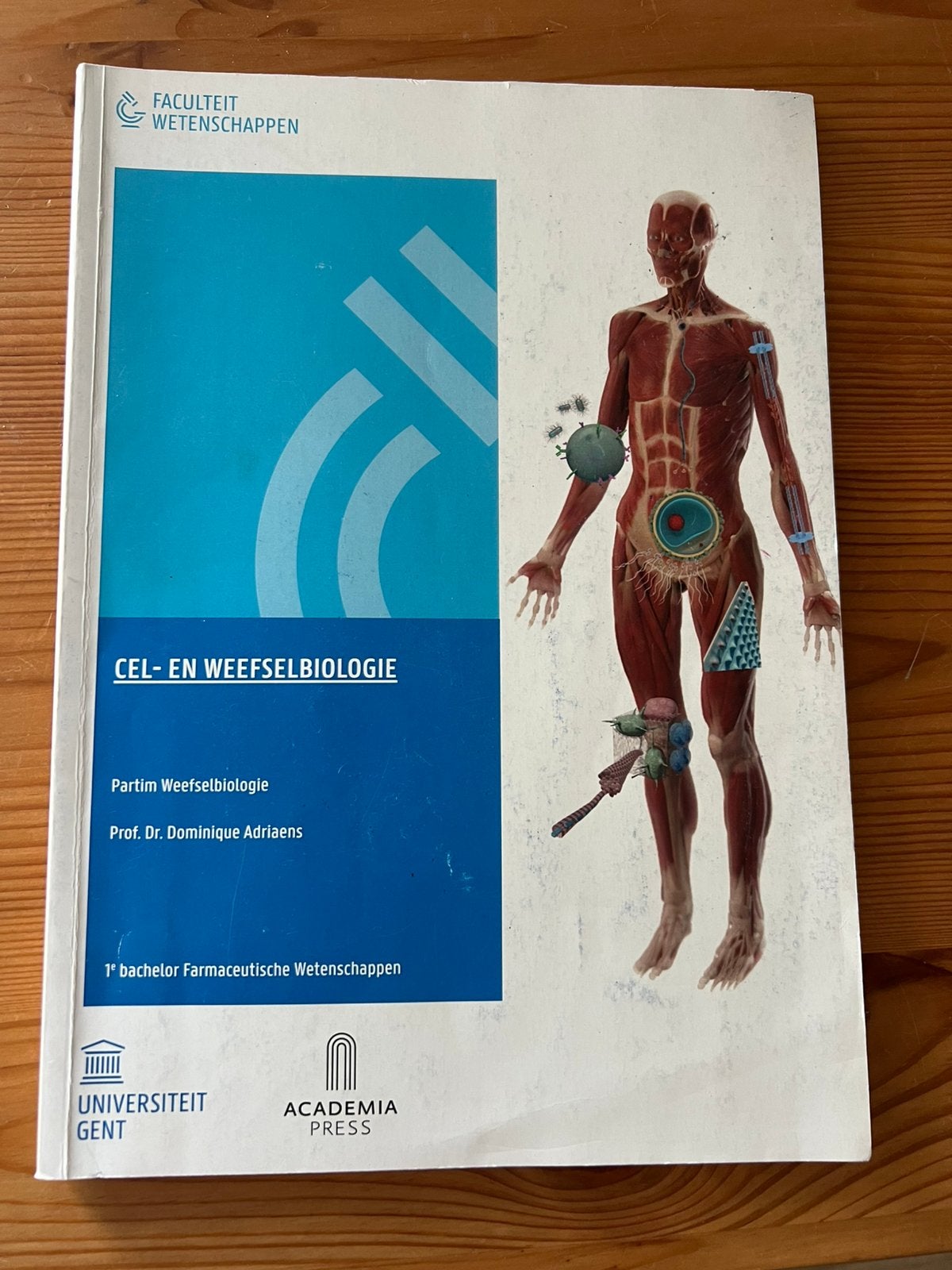Partim weefselbiologie cel-en weefselbiologie, Boeken, Studieboeken en Cursussen, Ophalen of Verzenden, Zo goed als nieuw, Hoger Onderwijs