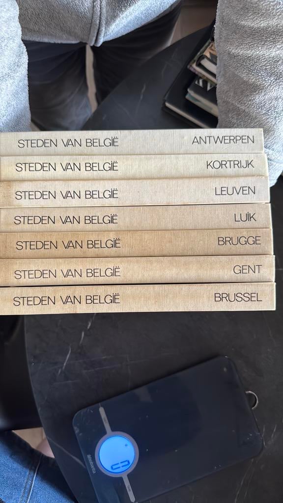 Steden van België Arts Historia, Boeken, Ophalen of Verzenden