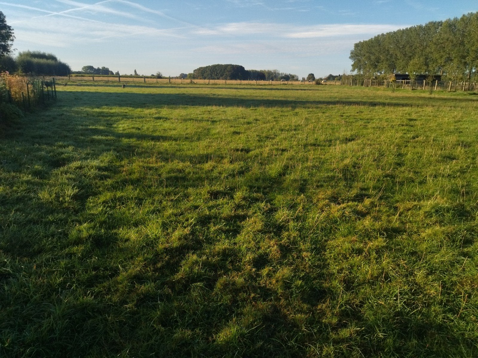 weide met schuilhok te huur