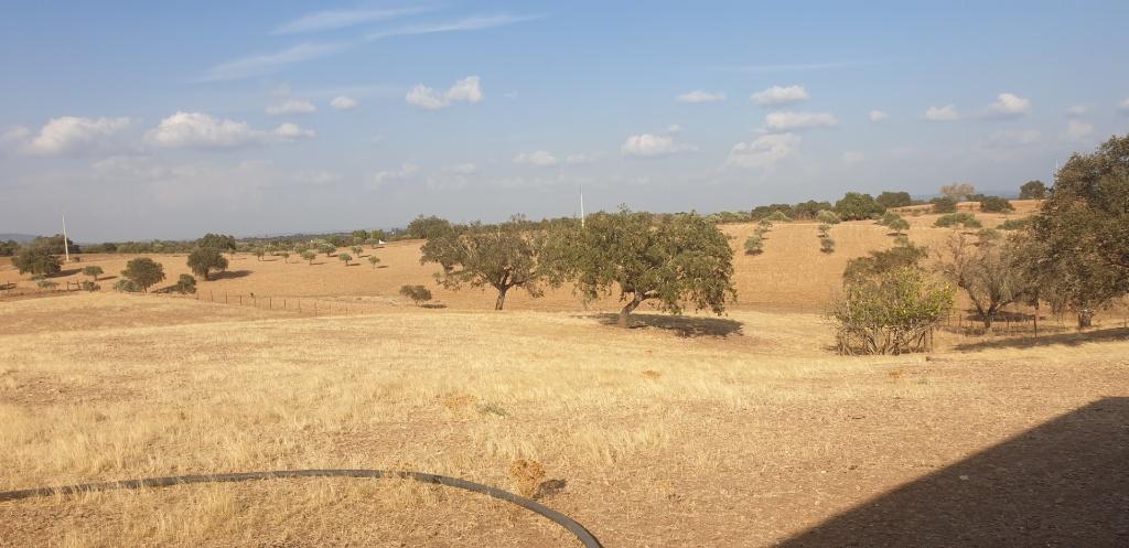 2landhuisjes 6ha omheind waterbron garages stallingen werkpl, Woonhuis, Portugal, Verkoop zonder makelaar, Serpa  Vila nova de São bento