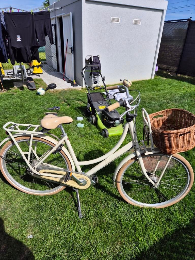 Oma fiets, Enlèvement