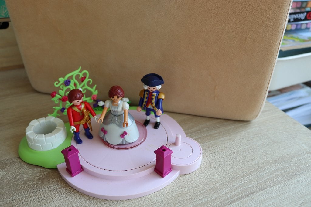 Playmobil - Le bal masqué, Enlèvement