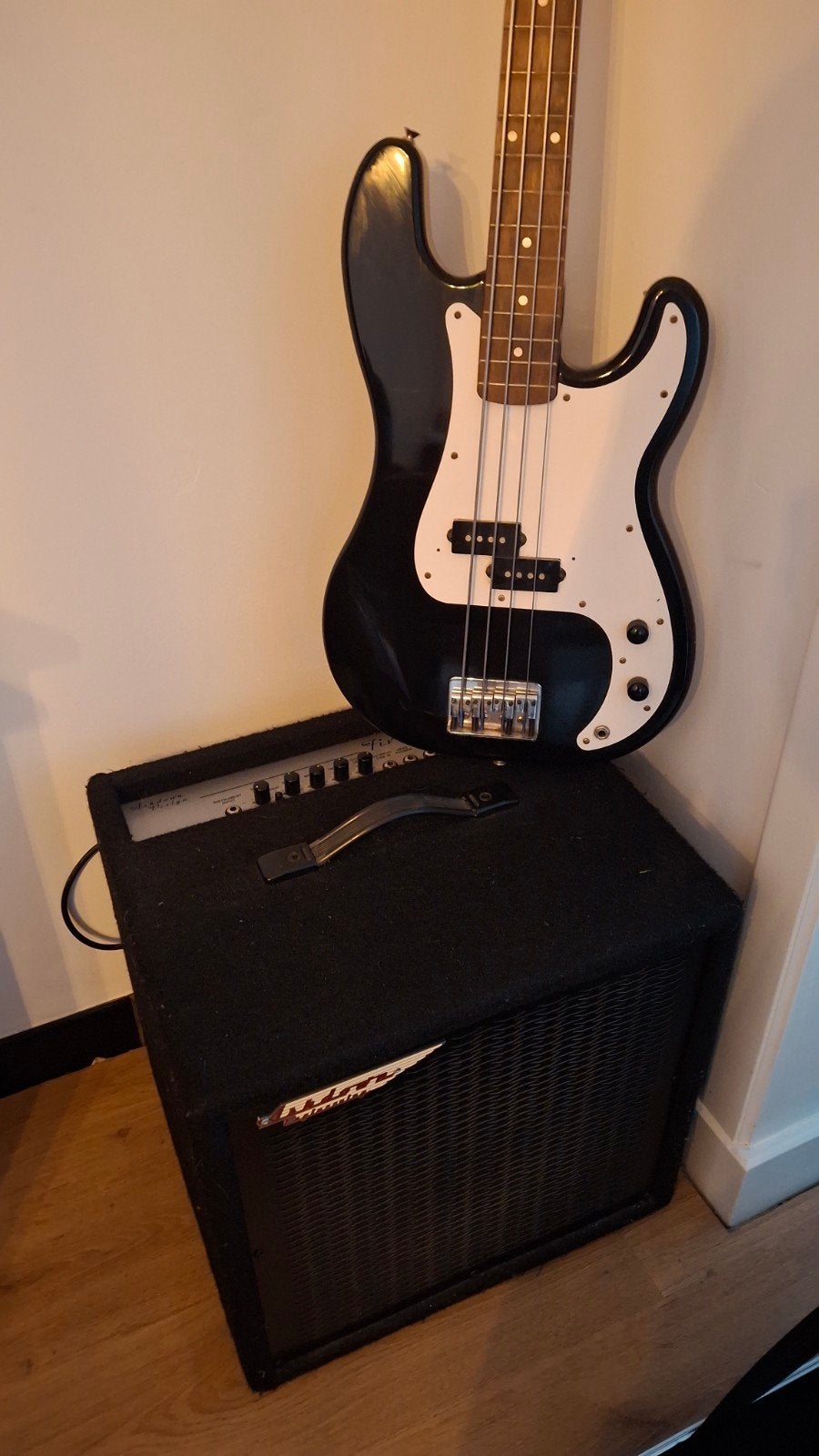 Basic basversterker Ashdown + basgitaar Elvis🤪 met koffer, Musique & Instruments, Amplis | Basse & Guitare, Enlèvement, Utilisé