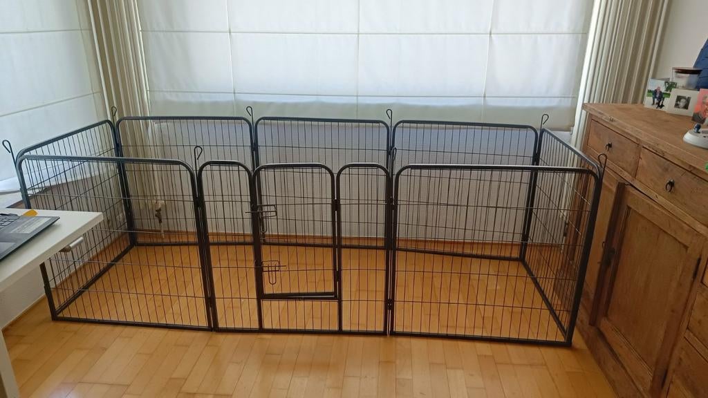 Chiots - à peine utilisés, Enlèvement