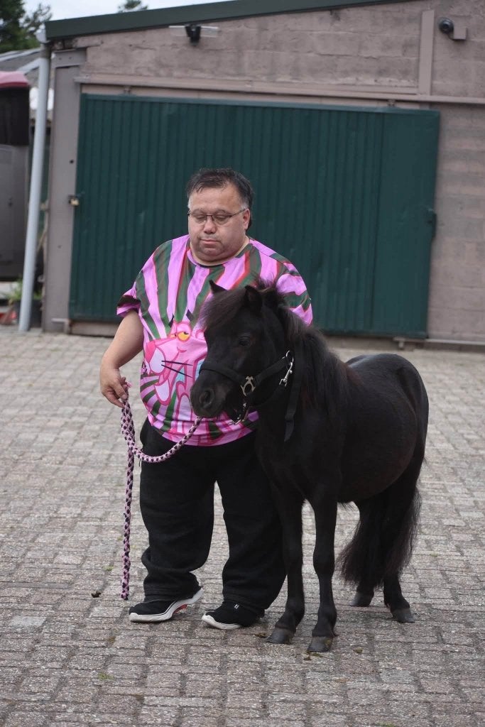 Correcte, prachtige, gitzwarte Twenter Shetlandhengst, Avec pedigree, Poney de récréation, Poney A (jusqu'à 1.17 m), 0 à 2 ans