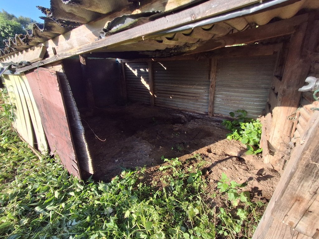 Goed afgemaakte weide met ruim schuilhok te koop, Dieren en Toebehoren, Weidegang, 2 of 3 paarden of pony's