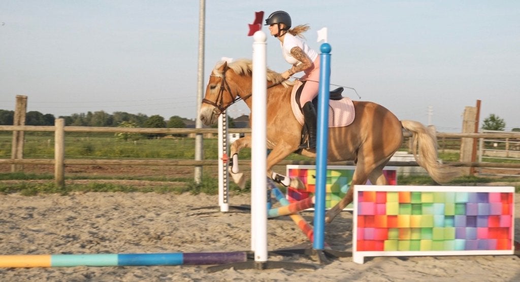 Halve stal gezocht voor mijn lieve ruin, Dieren en Toebehoren, Paarden, Minder dan 160 cm, Ruin, Zadelmak, 3 tot 6 jaar