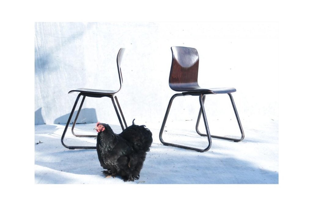 Elmar Flötotto Galvanitas S23 schoolstoelen kindermaat, Enlèvement