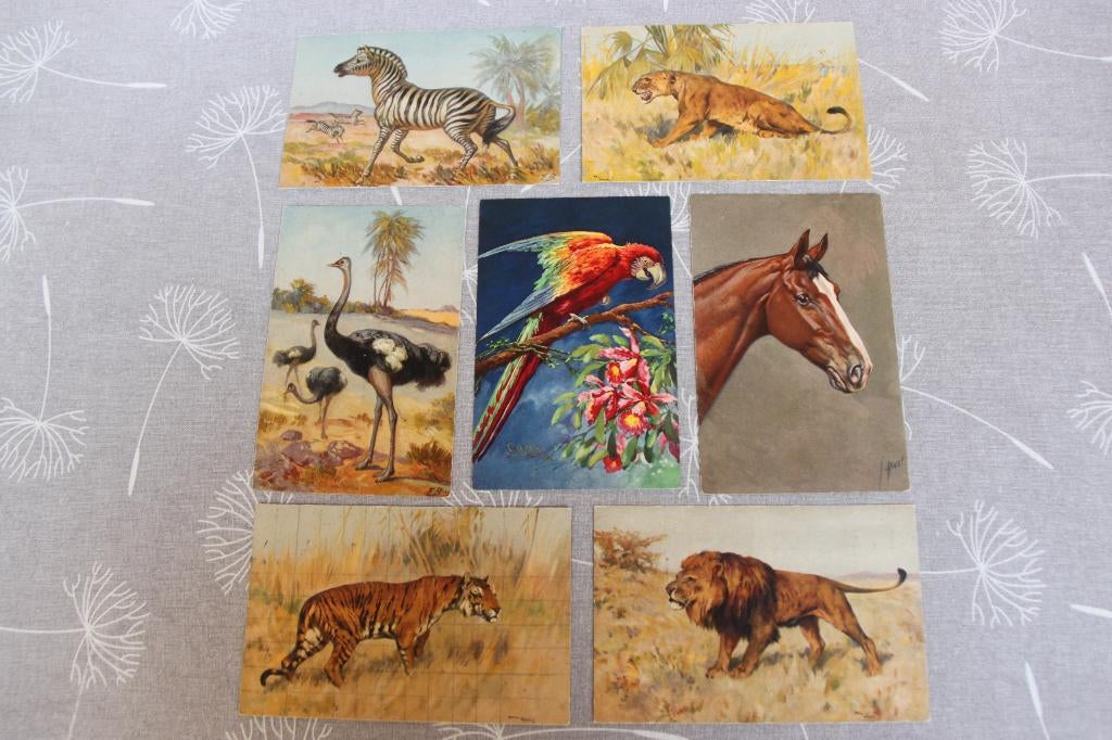 7 cartes postales dessinées par des animaux, Enlèvement ou Envoi, Non affranchie, Autres