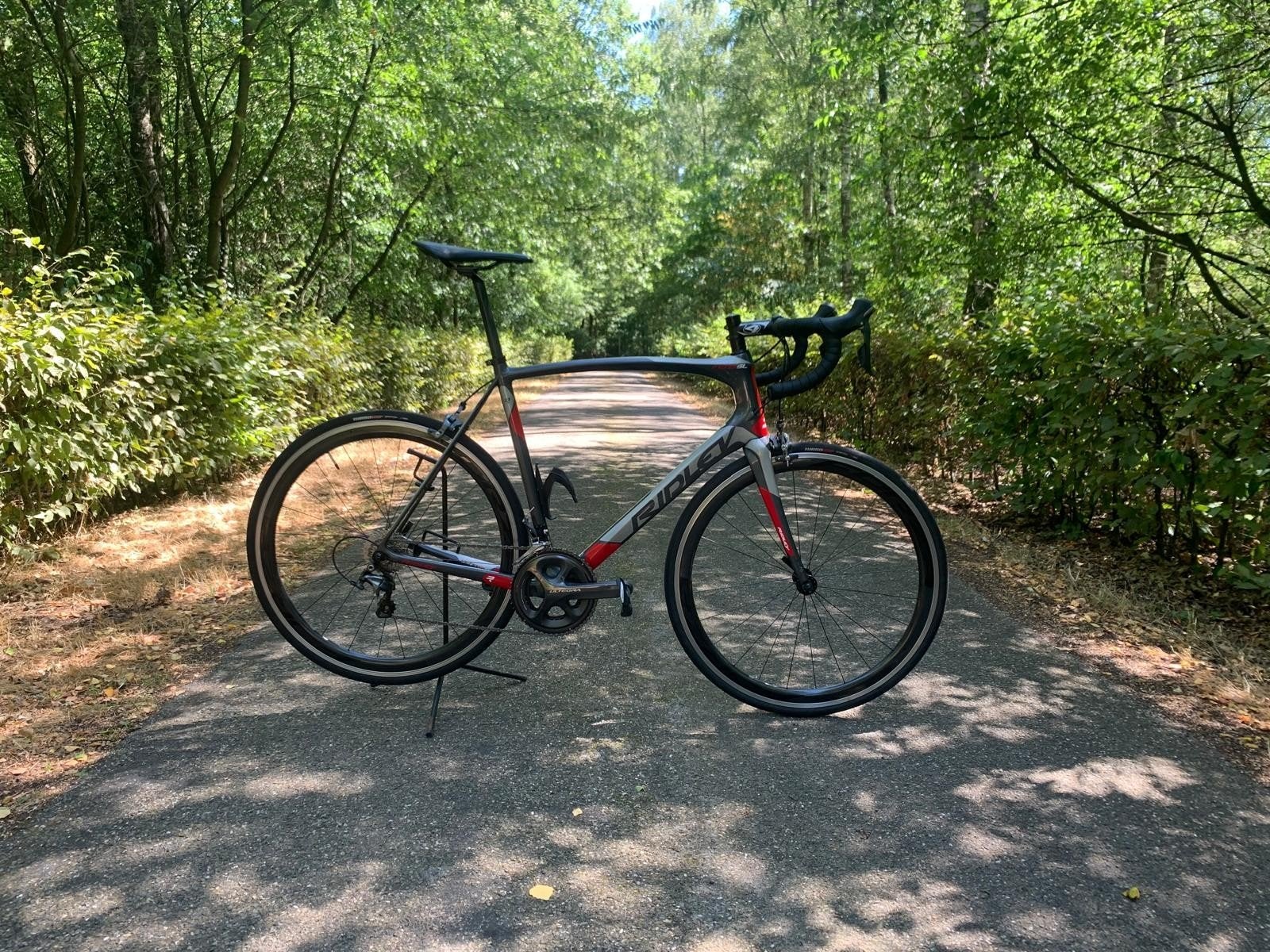 Ridley Fenix SL, Ophalen, Gebruikt, Carbon, Velgrem