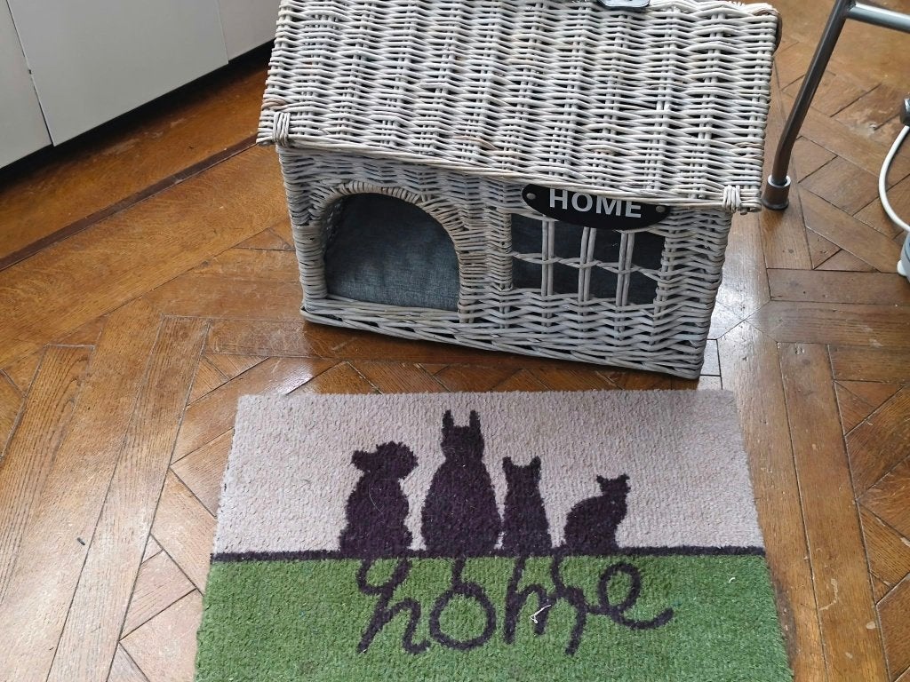 Kattenhuisje, Ophalen, Zo goed als nieuw, Riet