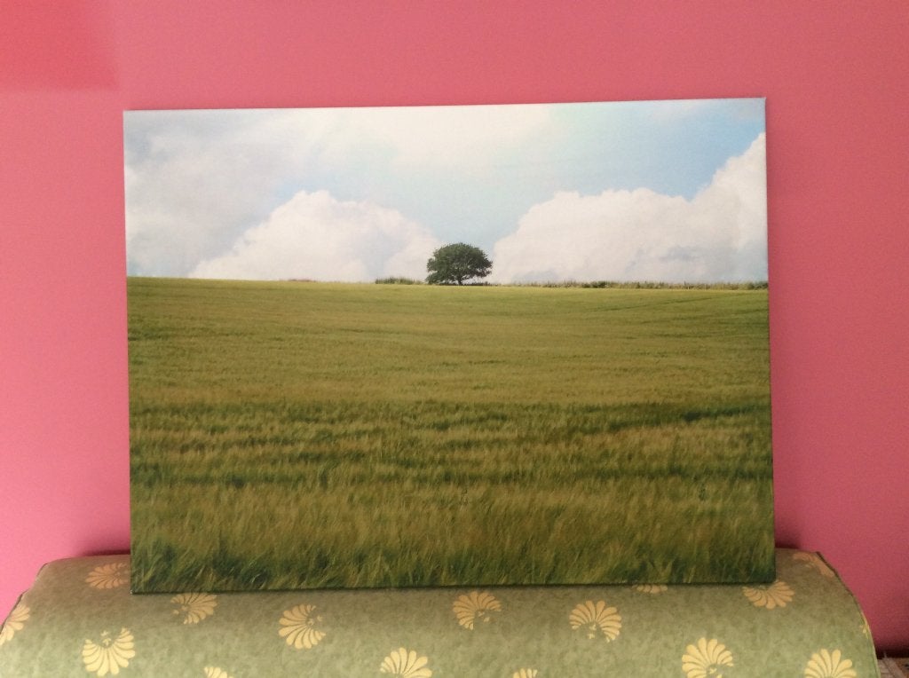 STIJLVOLLE SCHILDERIJ OP CANVAS, Ophalen