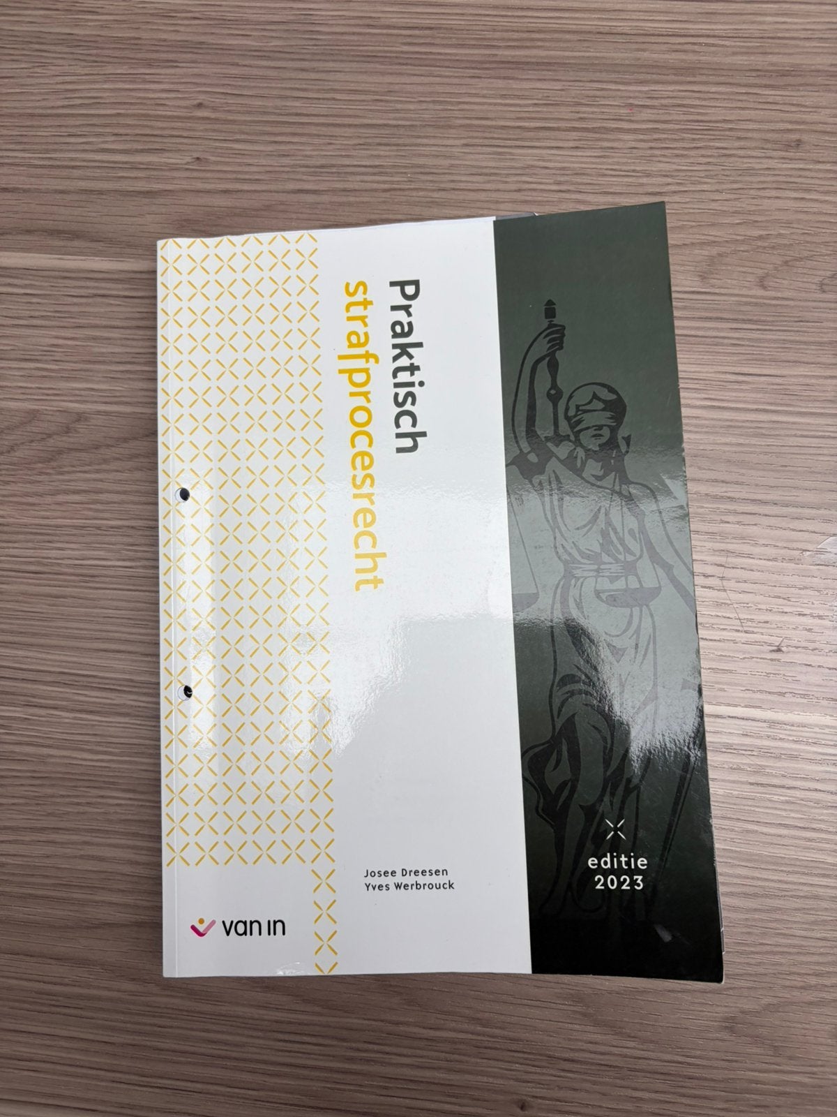 Praktisch strafprocesrecht, Ophalen of Verzenden, Gelezen, Nederlands