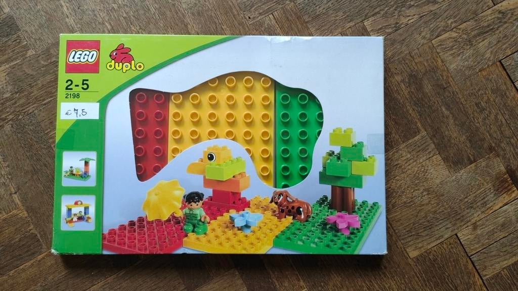 Lego Duplo platen - 2198, Kinderen en Baby's, Speelgoed | Duplo en Lego, Compleet, Nieuw, Ophalen of Verzenden, Duplo